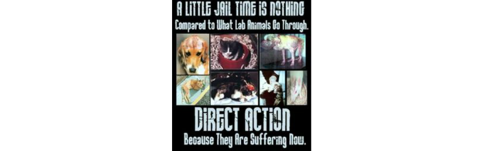 Animal Abuse Info - Animal Abuse & Homelessness